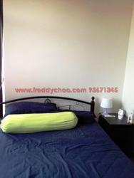 Suites @ Shrewsbury (D11), Apartment #90039642